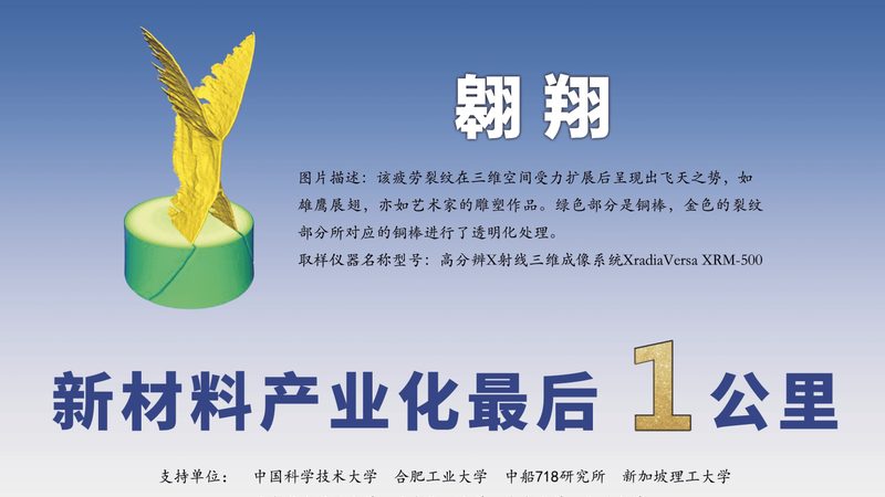 瓷砖胶粘剂选材，如何避开常见误区？**