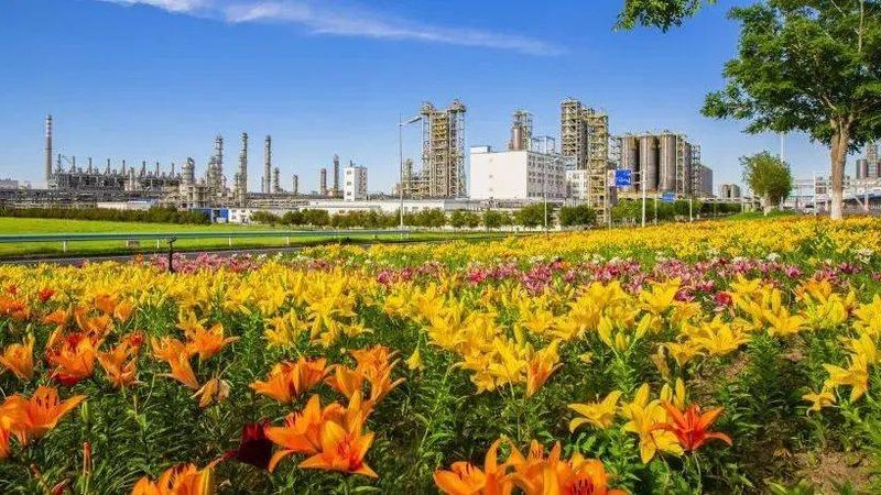 玻纤增强工程塑料价格走势解析：影响与应对